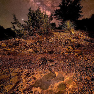 DeGidio Imaging